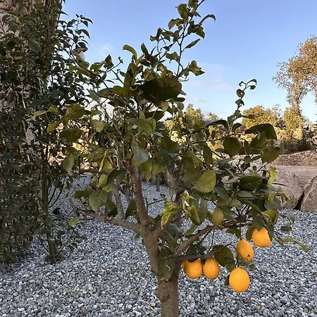 Ξενοδοχείο Le Hameau Figari (Corsica)